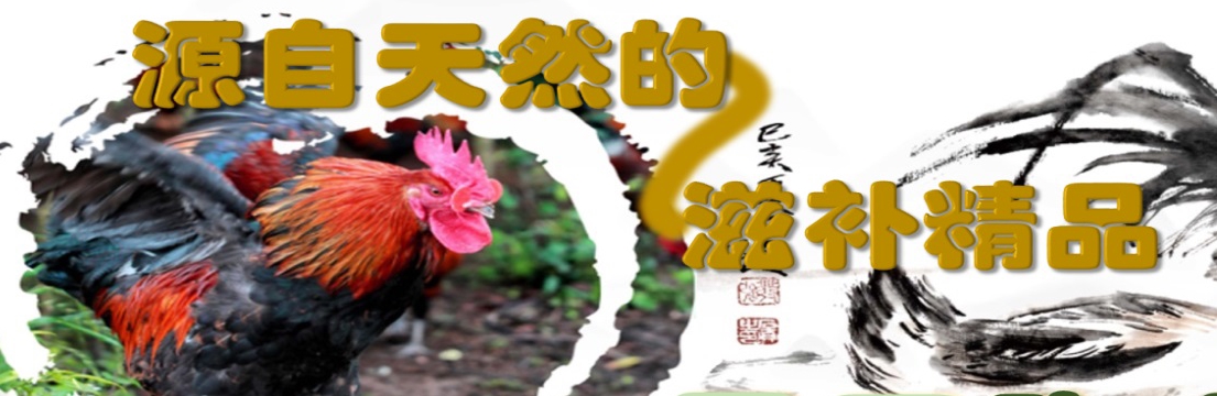 跑山鸡